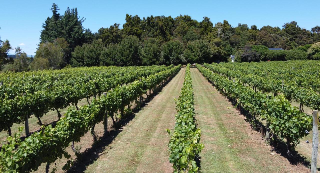 Pirita Vineyard Cottage. Upper Moutere Luaran gambar