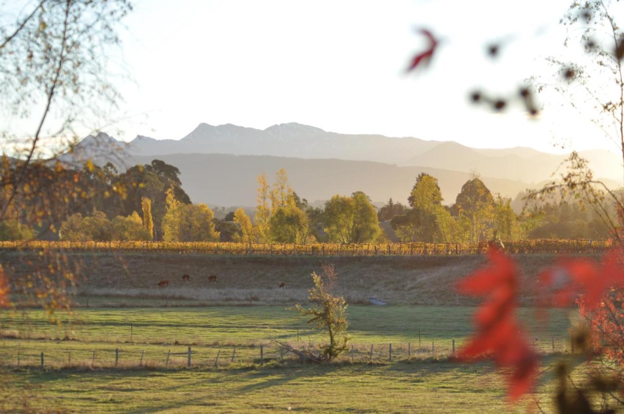 Pirita Vineyard Cottage. Upper Moutere Luaran gambar