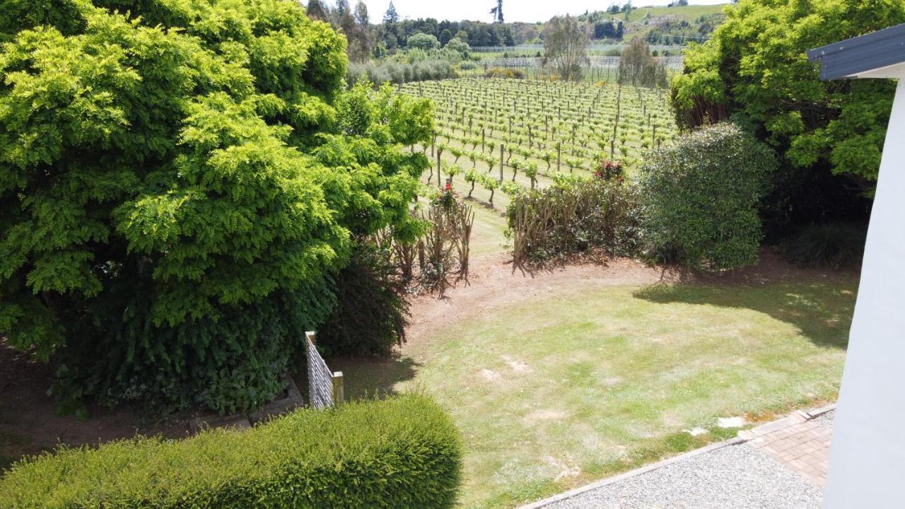 Pirita Vineyard Cottage. Upper Moutere Luaran gambar